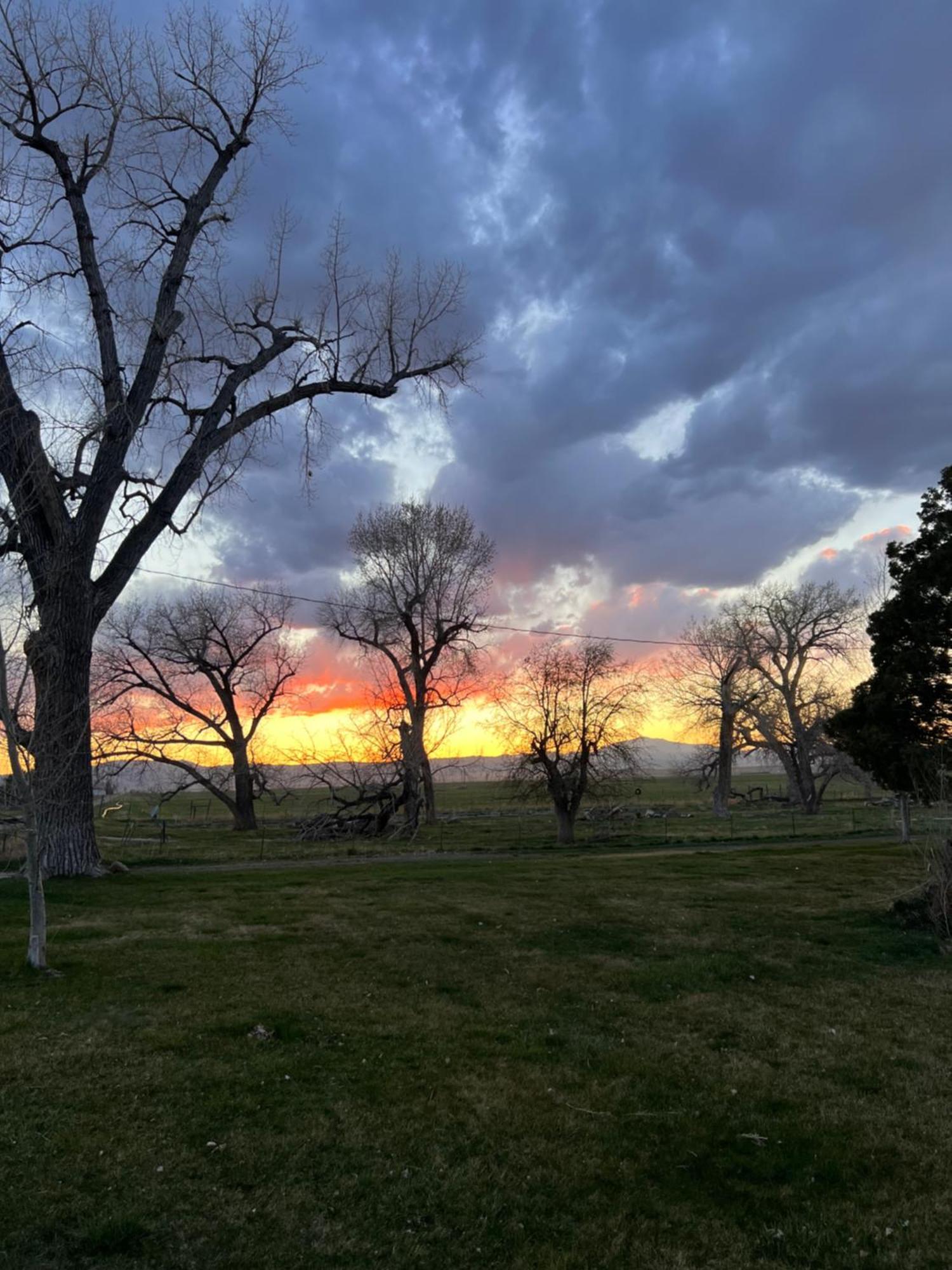 Hudson House Bed And Breakfast Wheatland 外观 照片